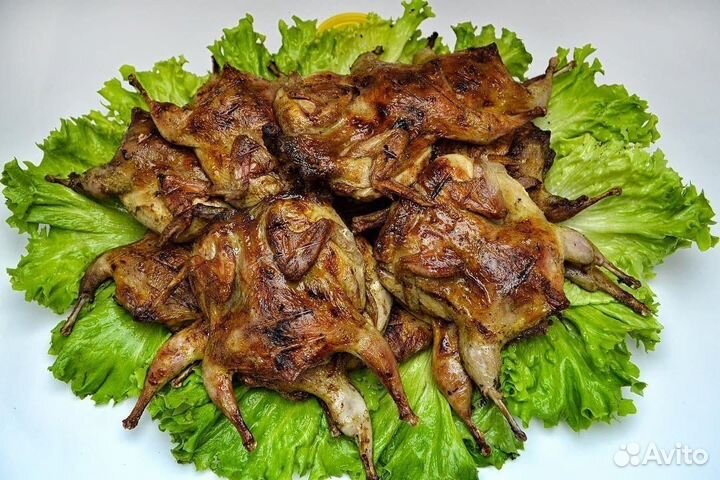 Домашние мясо перепелов