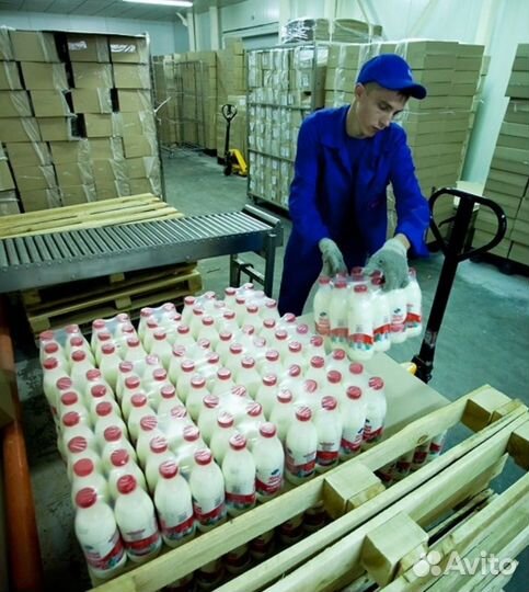 Грузчик ежедневная оплата