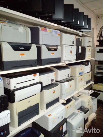 Принтер нр 401dn Гарантия