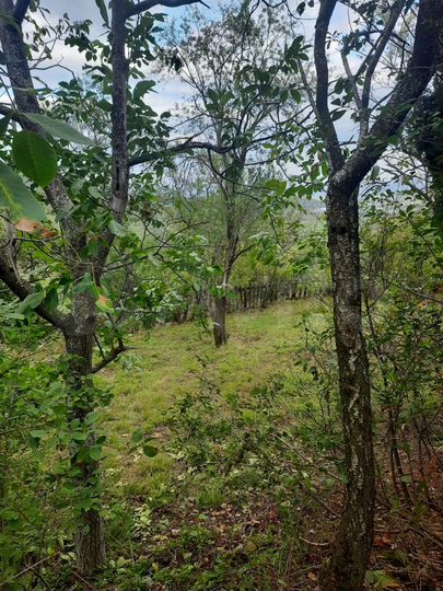 Дом 103,8 м² на участке 16 сот.