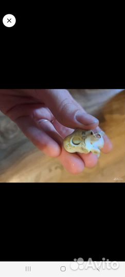 Статуэтка болонки