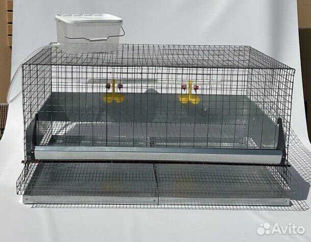 Клетки для кур несушек