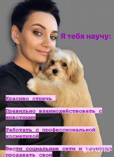 Груминг обучение