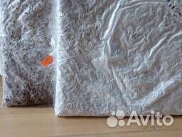 Мицелий грибов вешенки, шампиньоны,опята зимнии,ши