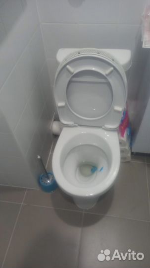 Мастер на час починю и люстру и унитаз