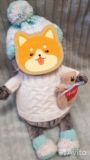 Одежда для кота басик