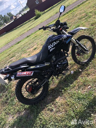 Avantis MT250
