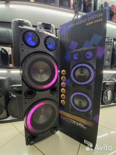 Большая мощная колонка 1000вт national NSM-V650