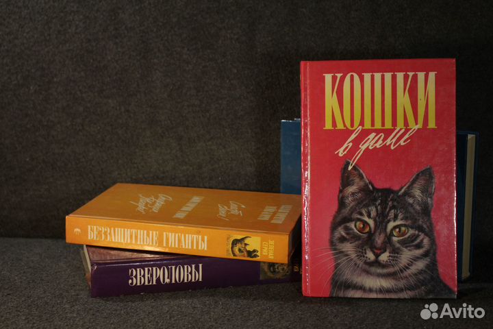 Книги 