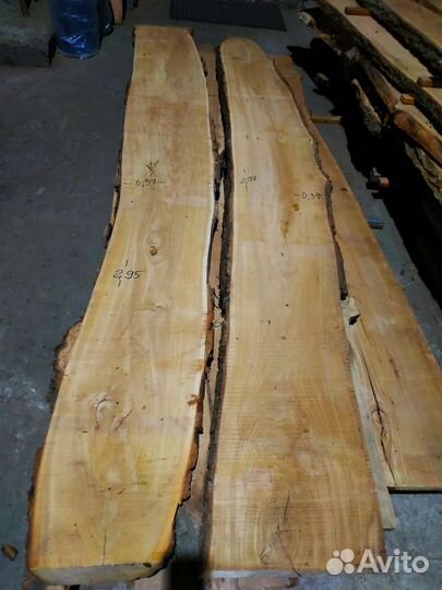 Слэбы Кавказского Карагача высушены