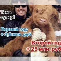 Региональный сельхозпортал в Лисичанске, Северодонецк