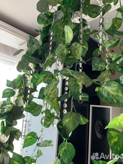 Фотозона, арка на свадьбу