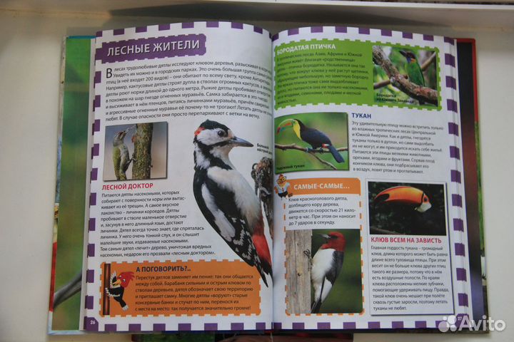 Детские энциклопедии Птицы, Насекомые