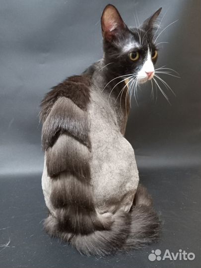 Стрижка собак и кошек. Груминг