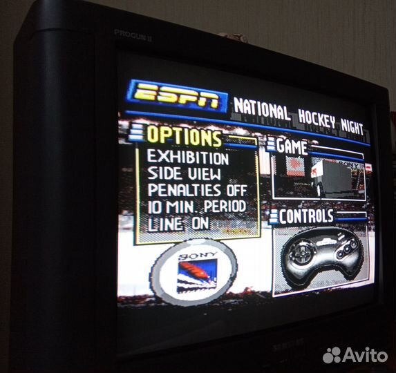 Картридж Sega Wayne Gretzky and nhlpa All-stars