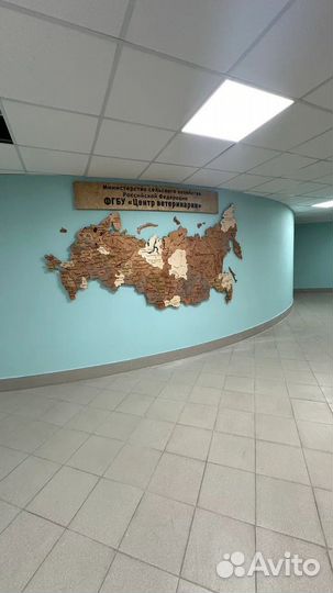 Кapтa Pоcсии с подсветкой и без подсветки