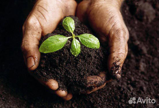 Чернозем, Торф (Артикул 111)