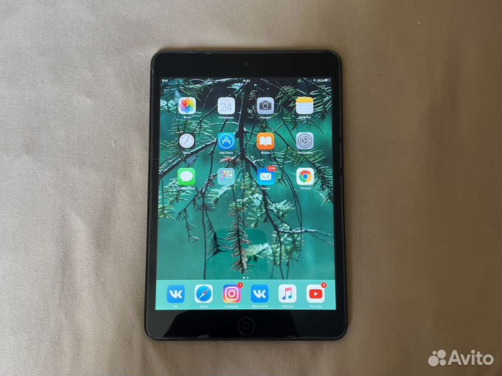 iPad mini