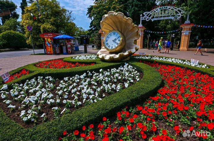 Обзорная экскурсия Сочи