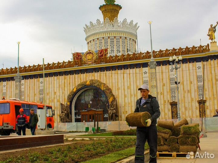 Рулонный газон под ключ