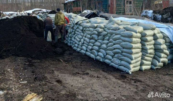 Земля чернозем