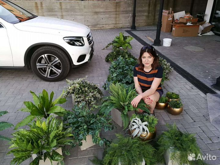 Деревья, растения для квартир, домов, кафе, от