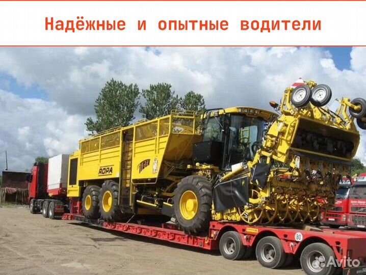 Услуг трала перевозка спецтехники, сельхозтехники