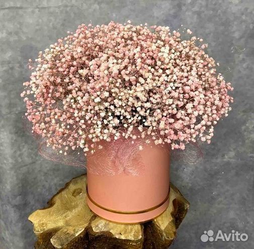 Гипсофилы с открыткой