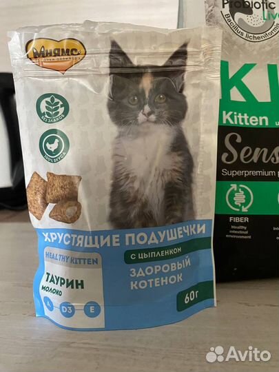 Корм для котят