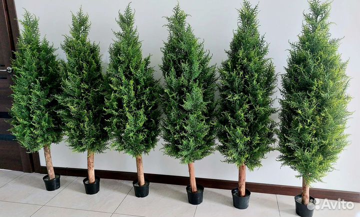 Искусственные туи можжевельник растение