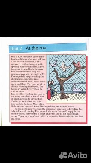 Занятия по Английскому языку