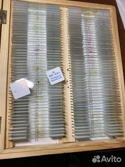 Микроскоп + 100 препаратов