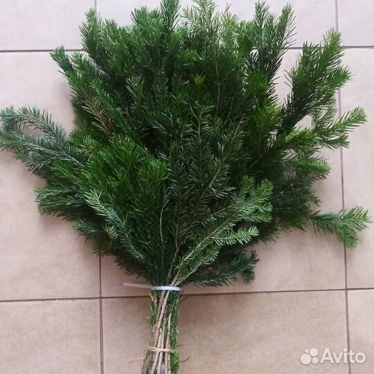 Веники пихтовые от производителя