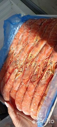 Лангустины креветки