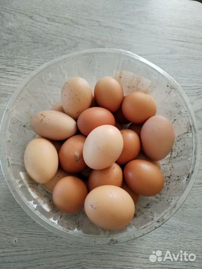 Яйцо куриное домашнее