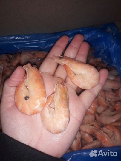 Креветки Королевские