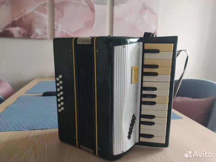 Аккордеон детский