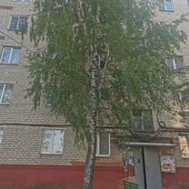 1-к. квартира, 30,2 м², 5/5 эт.