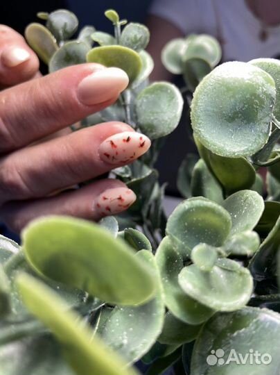 Мастер маникюра