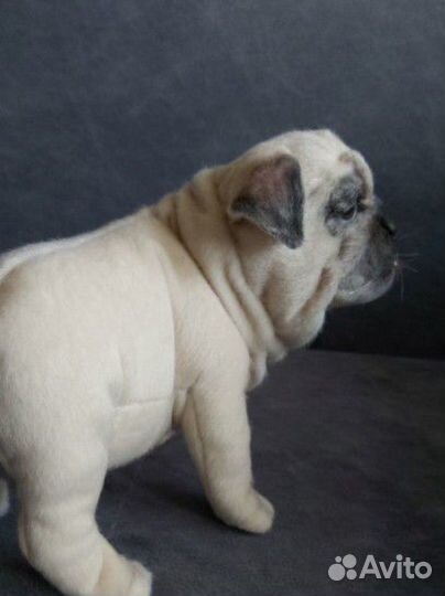 Мопс игрушка