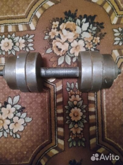 Гантели 10,15 кг. W-гриф +блины 12 штук по 2 кг