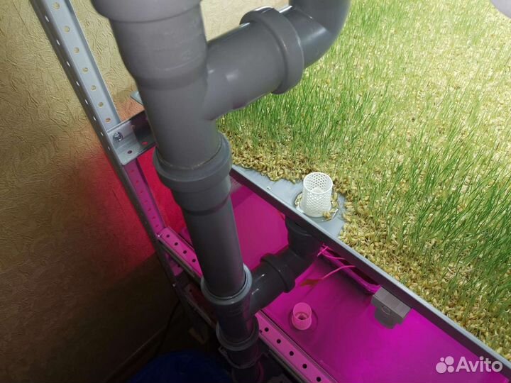 Стеллаж гидропоники для выращивания микрозелени и