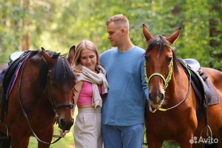 Конные прогулки и походы, обучение верховой езде
