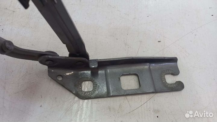 Петля капота правая Mercedes W251 R350