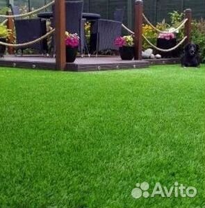 Продажа Рулонного газона