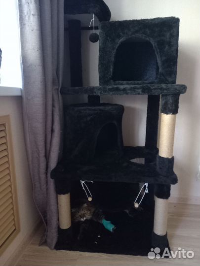 Игровой комплекс для кошек б/у