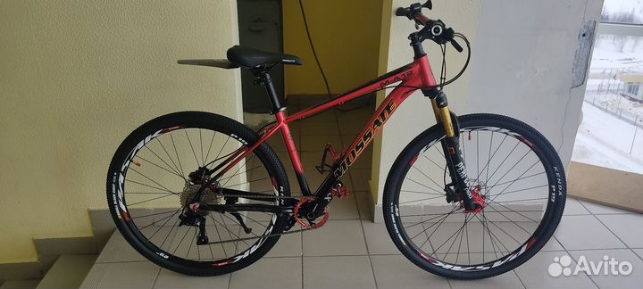 Mossate 29