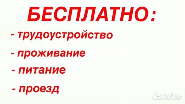 Вахта/Рабочие на склады/проезд бесплатно