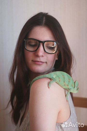 Репетитор по английскому языку онлайн обучение