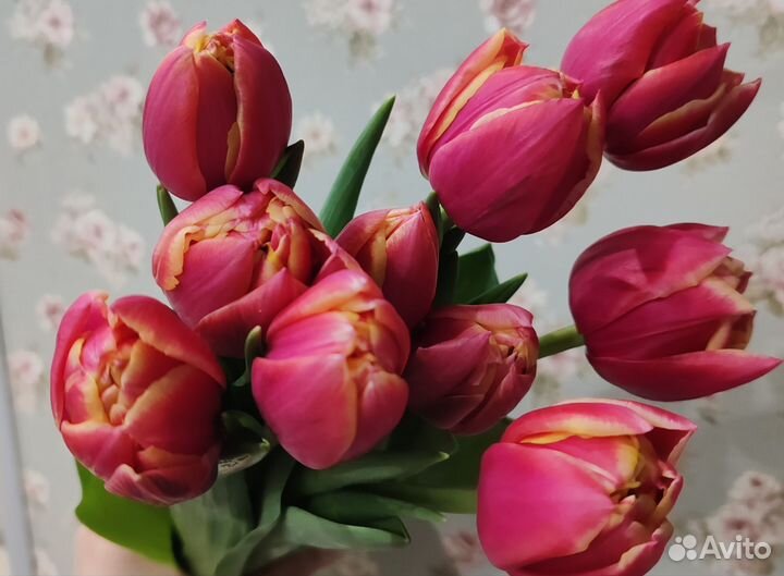 Тюльпаны пионовидные букет